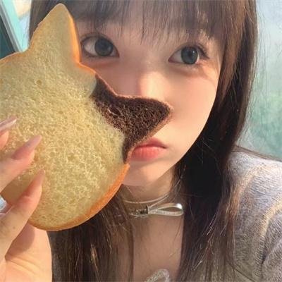 兔子镇的火狐狸