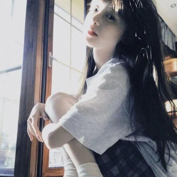 狗狗间谍